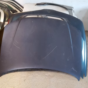 Puerta Opel ASTRA G capo